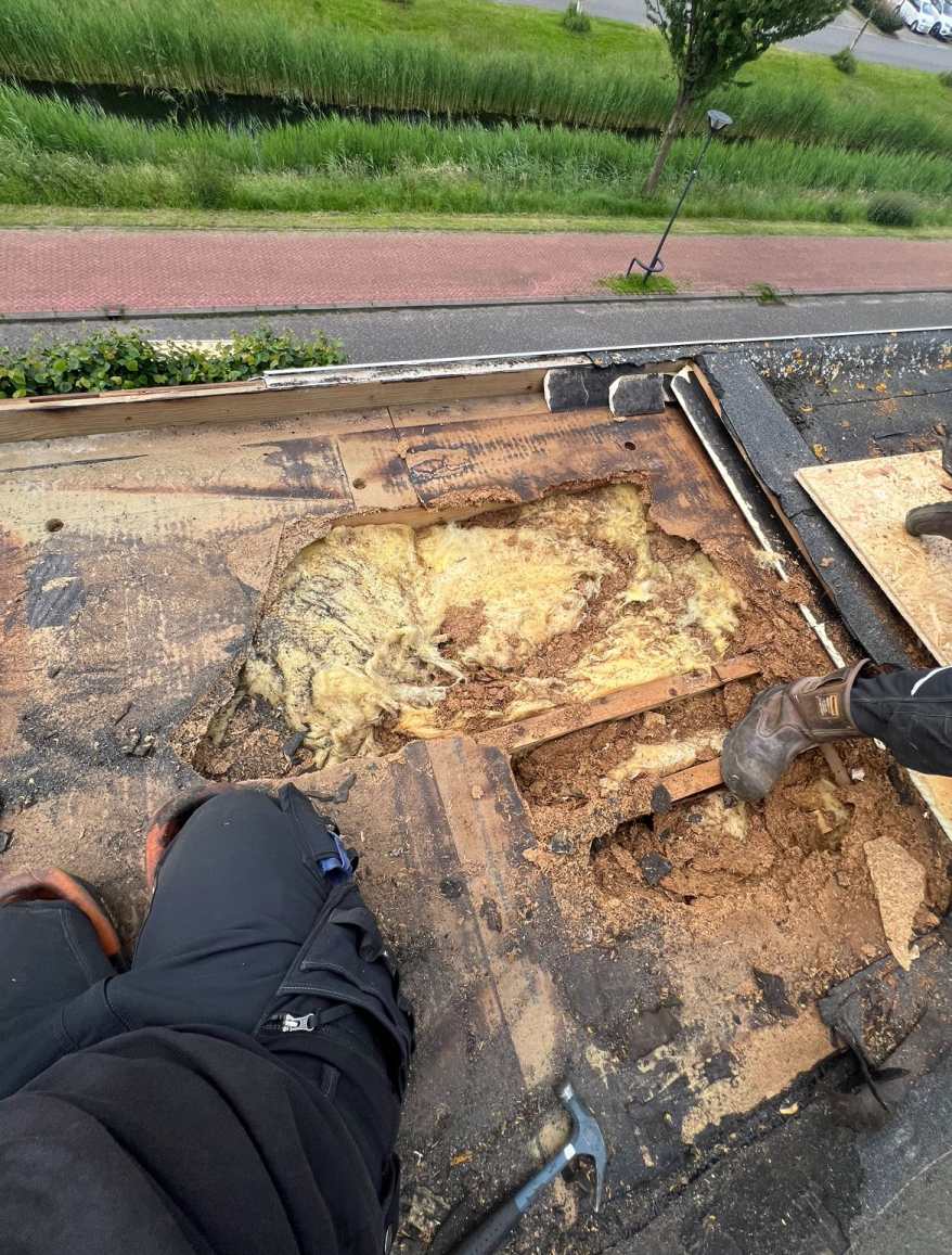 Houtbeschot na renovatie